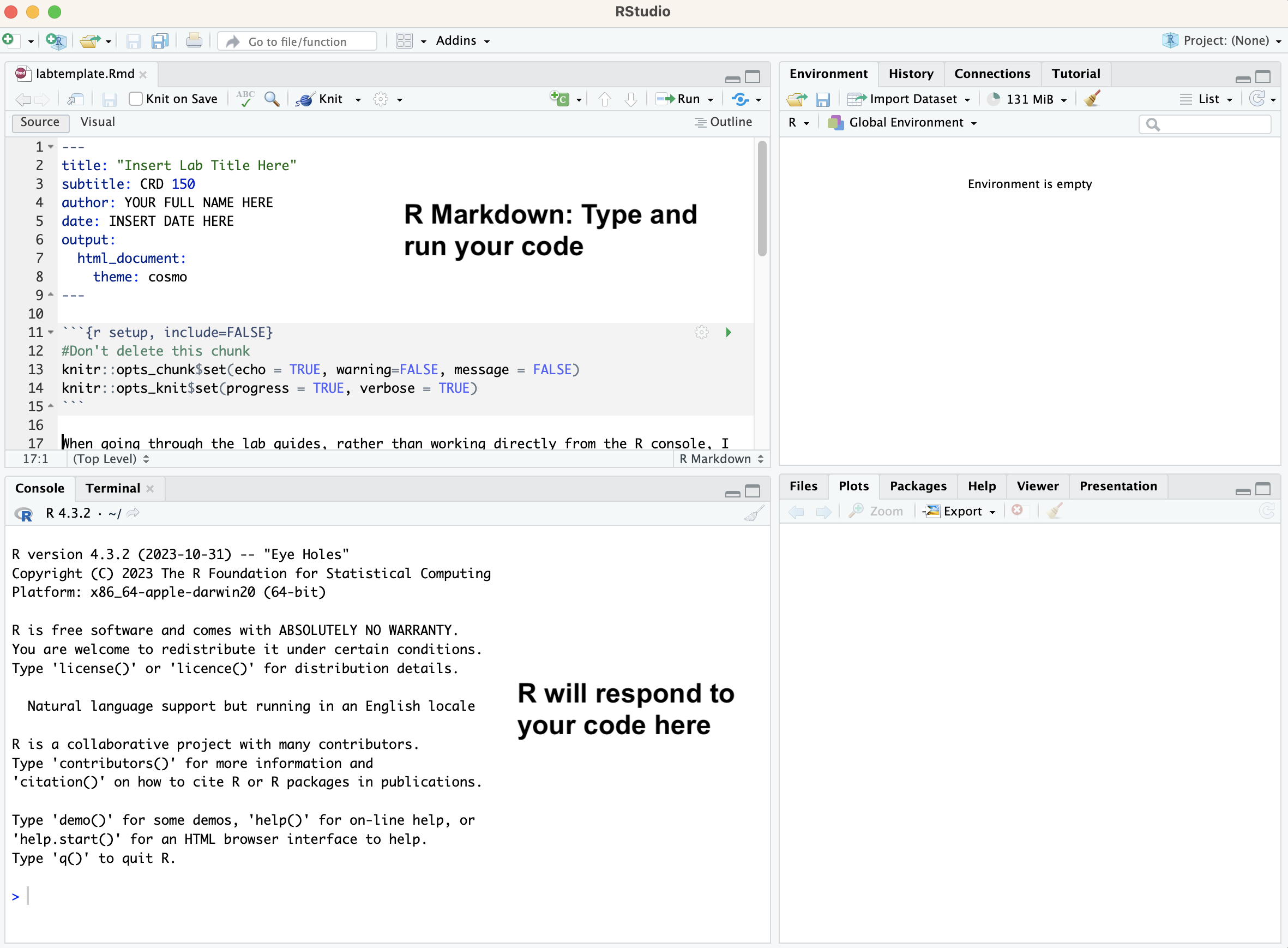 The full RStudio interface