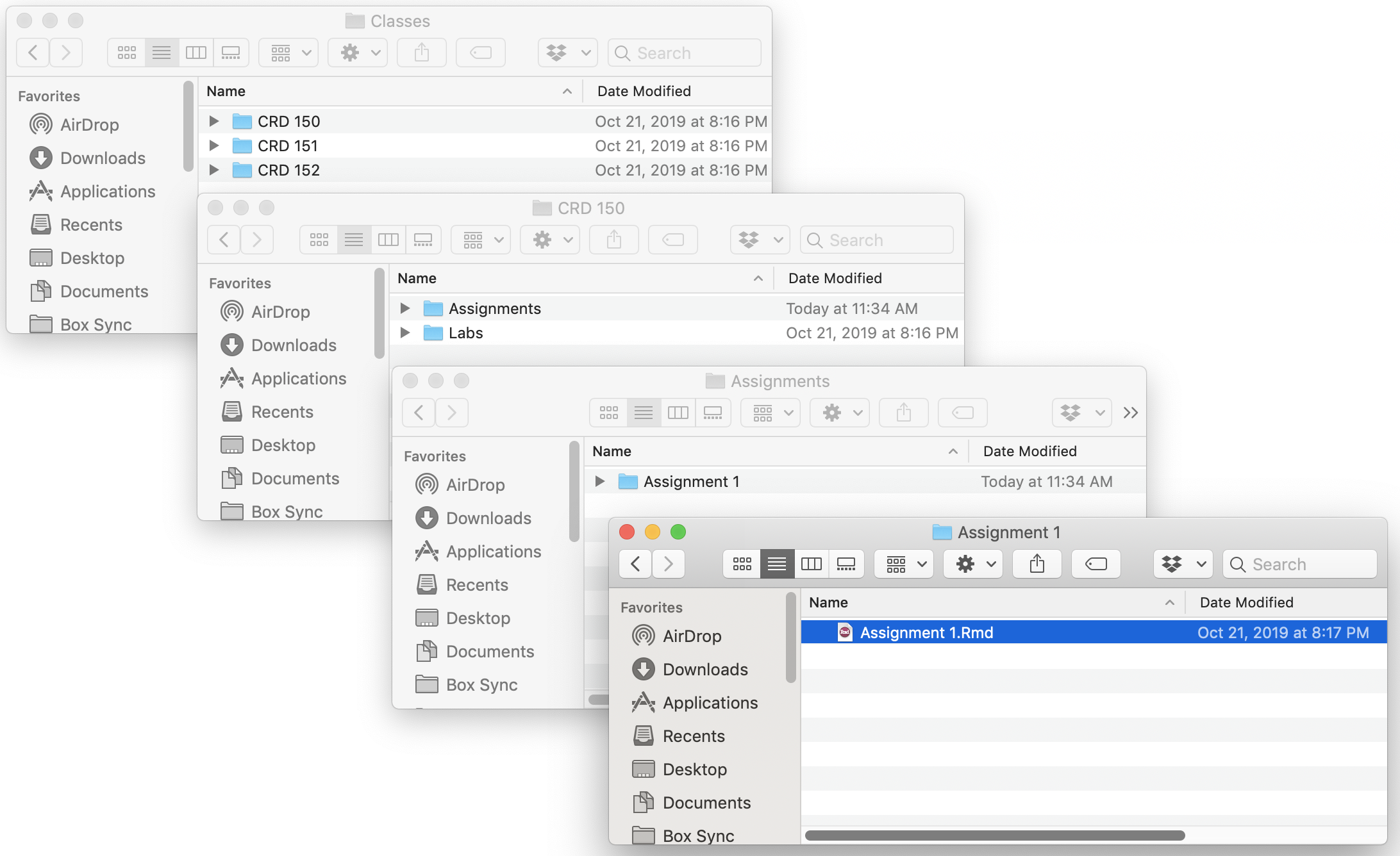 This is what file organization looks like