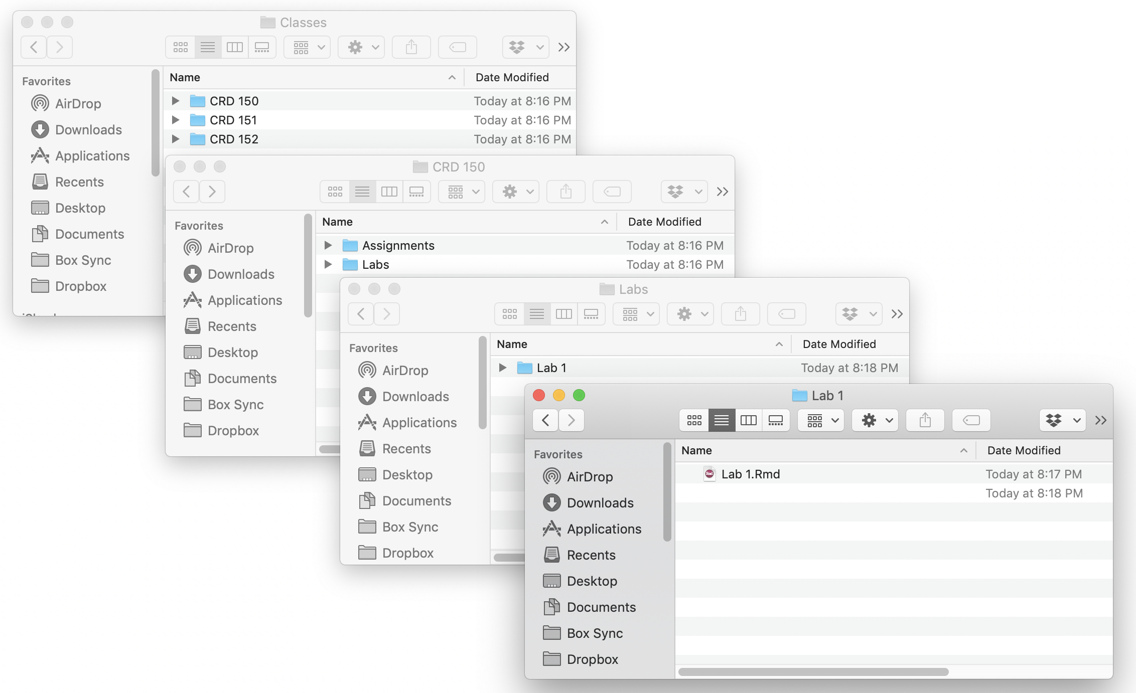 This is what file organization looks like