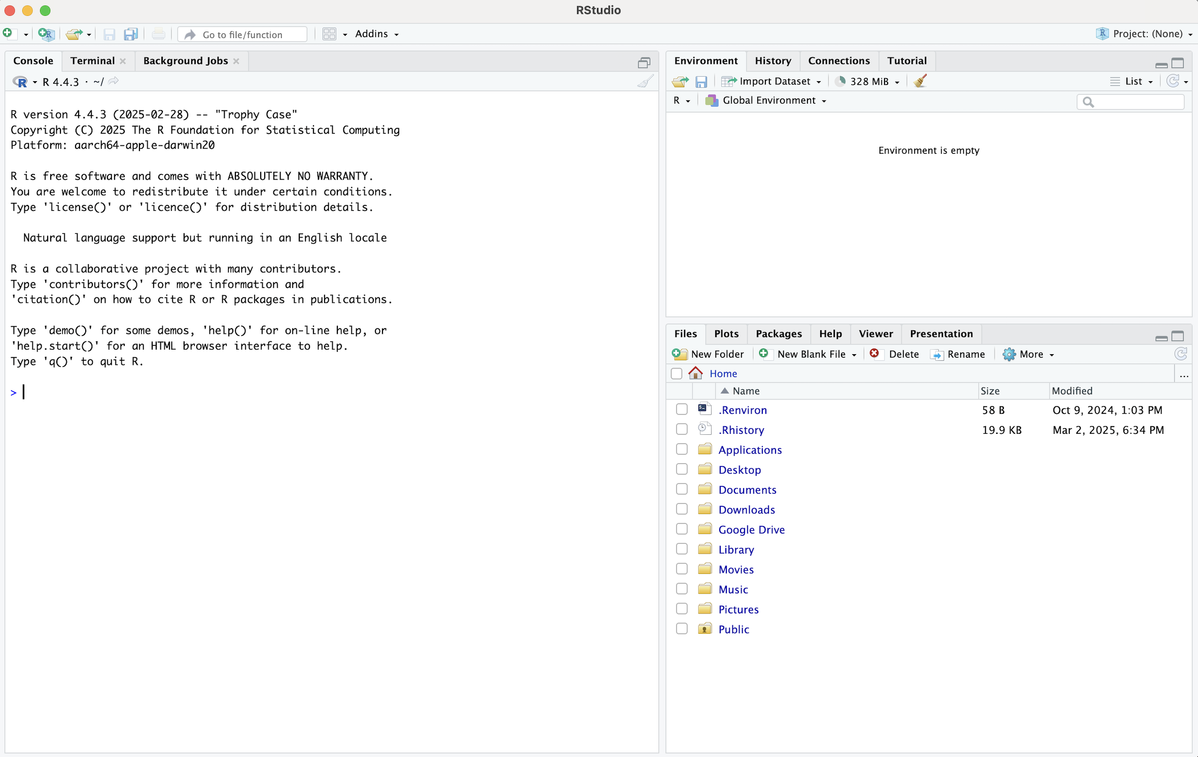 The RStudio Interface.