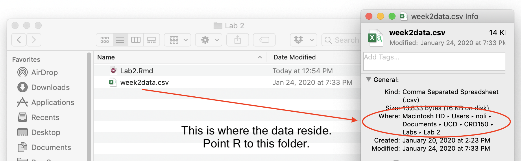 Directory path where your data reside